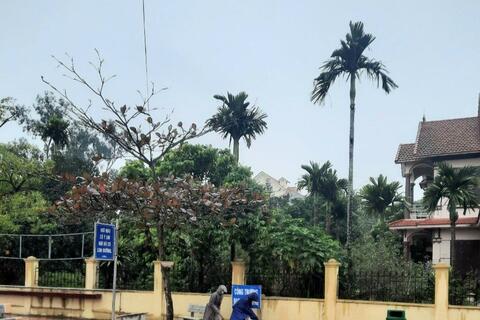 TRƯỜNG THCS LÊ QUÝ ĐÔN TRONG NGÀY ĐẦU TIÊN HỌC SINH TRỞ LẠI TRƯỜNG HỌC TRỰC TIẾP.